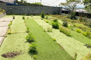 Before画像