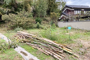 After画像