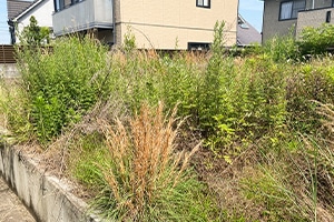 Before画像